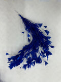 Feather Spray Royal Blue