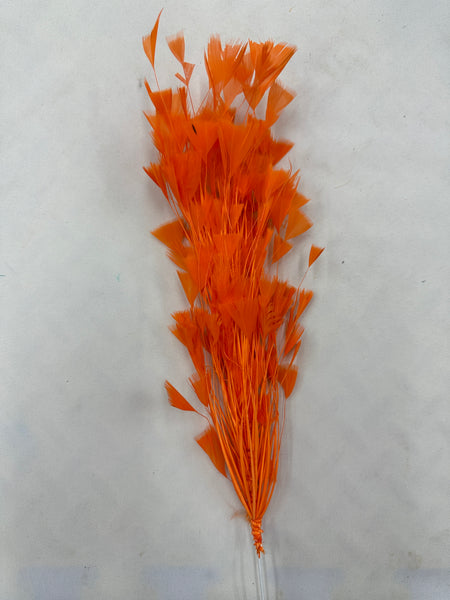 Feather Spray Orange