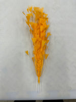 Feather Spray Mustard Yellow