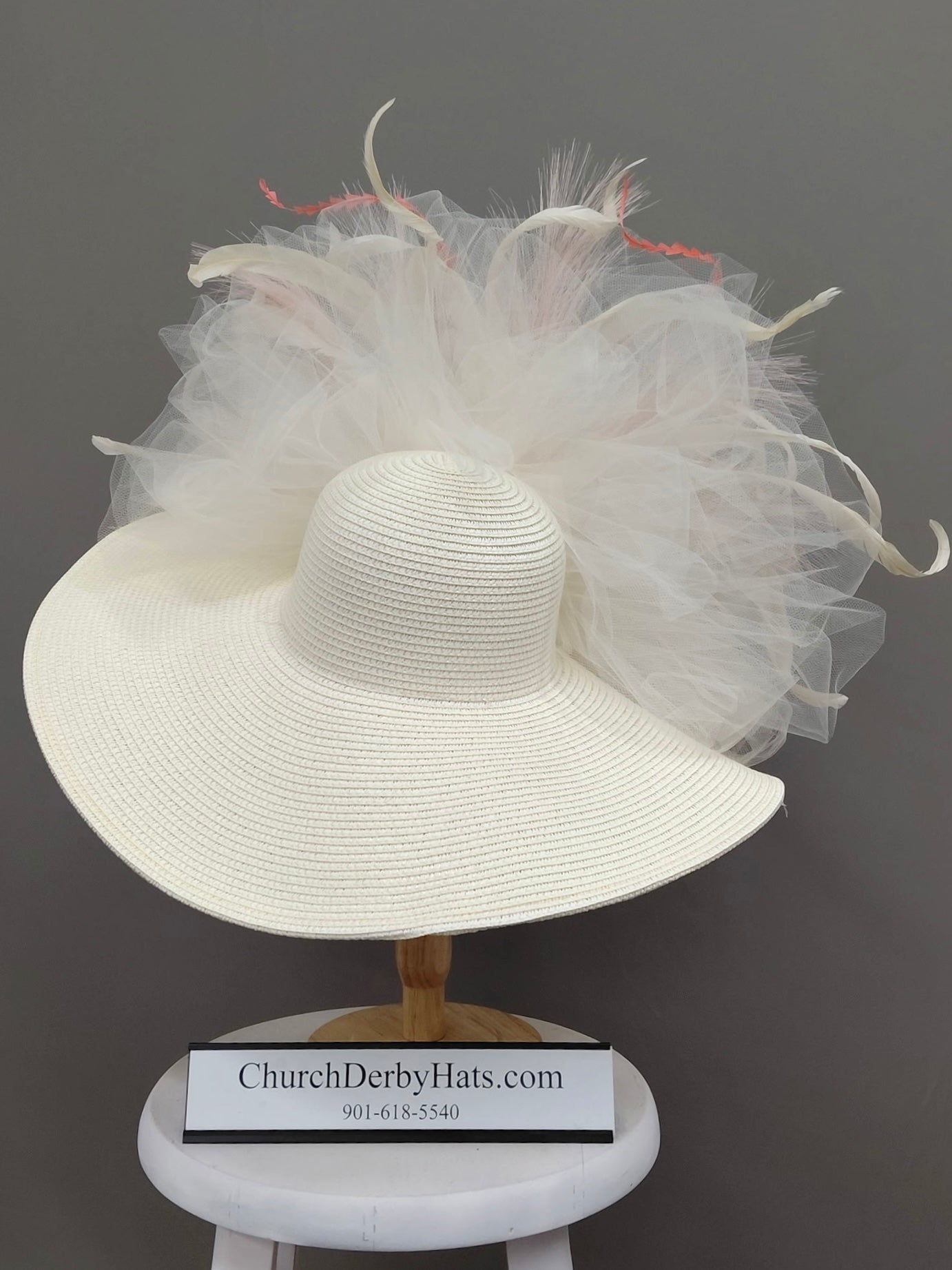 Paris - Kentucky Derby Hat