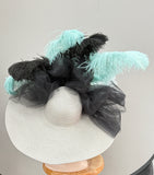 Gorgeous Ostrich!
