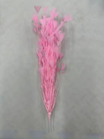 Feather Spray Pink
