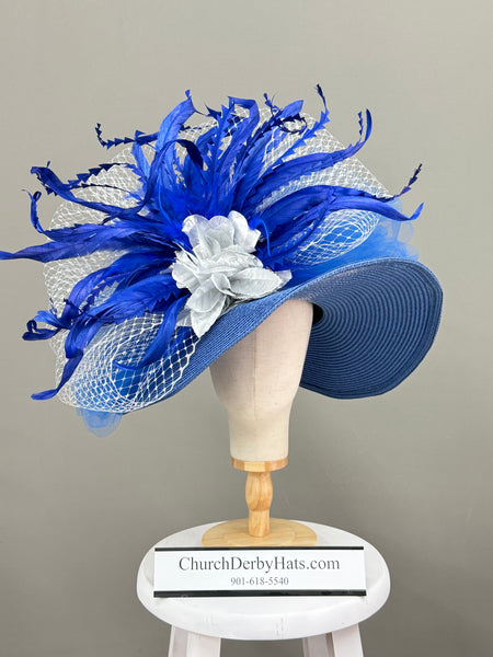 Sapphire in Silver