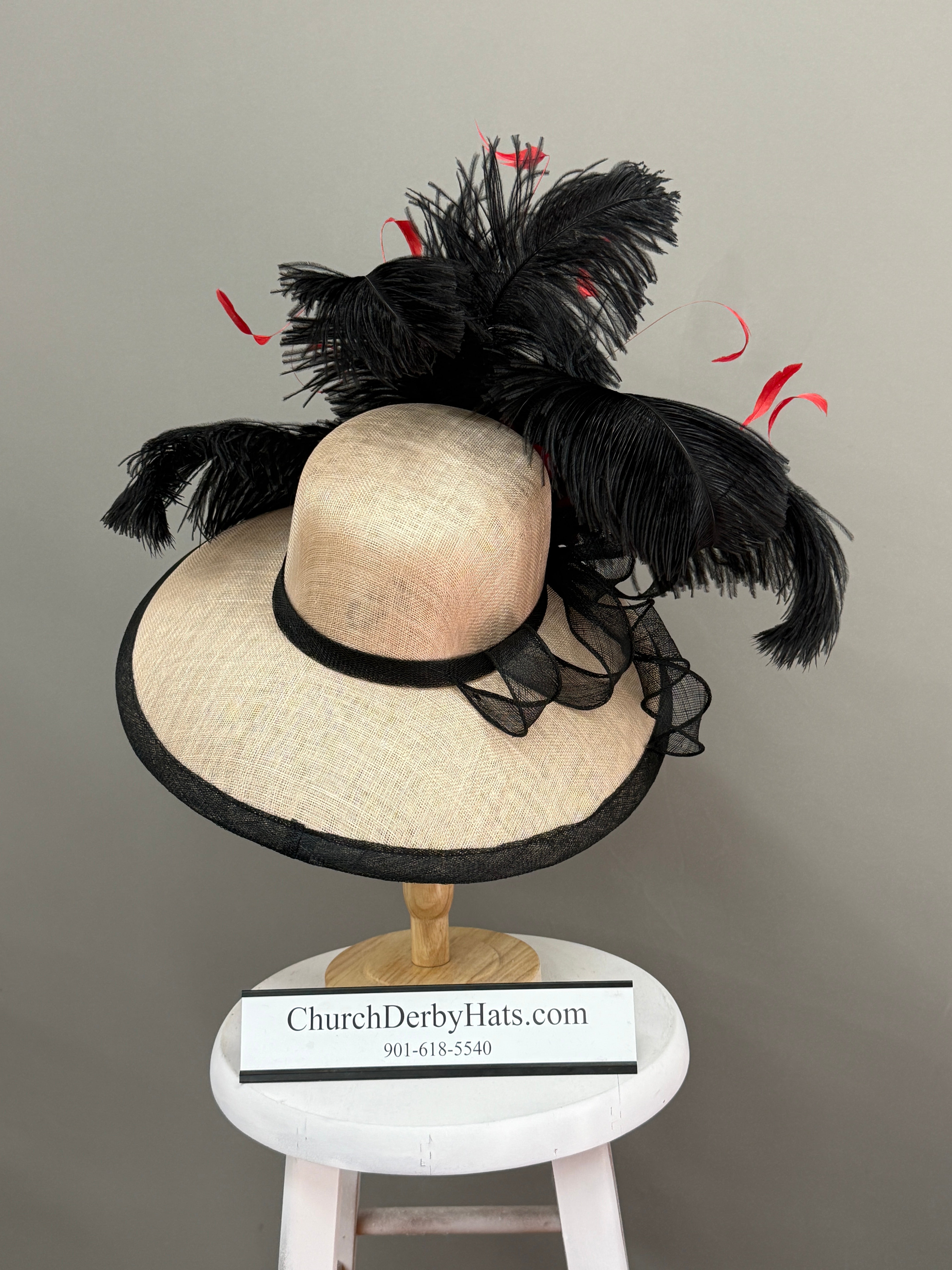 Paris - Kentucky Derby Hat